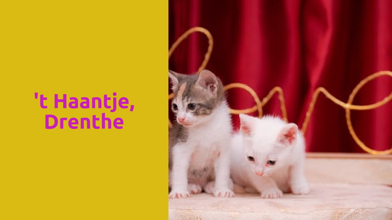 't Haantje, Drenthe